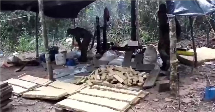 Nova Aliança destrói 27 toneladas de maconha na fronteira